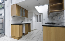 Burness kitchen extension leads